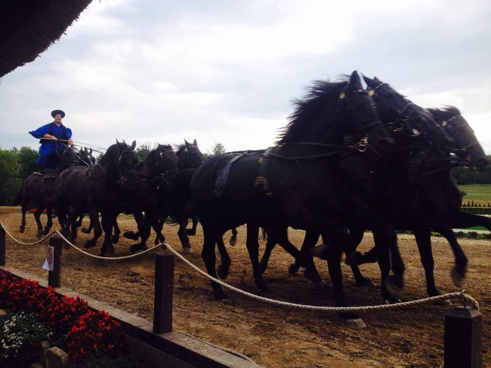 A Hősök terén vágtázik a Pusztatízes
