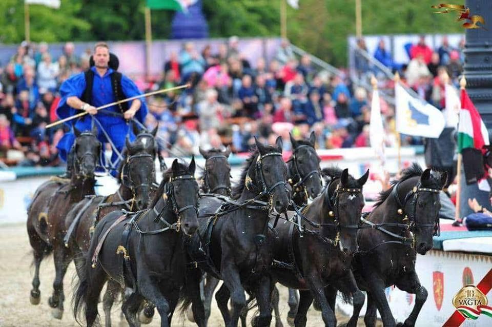 Hatalmas siker volt a Pusztatízes