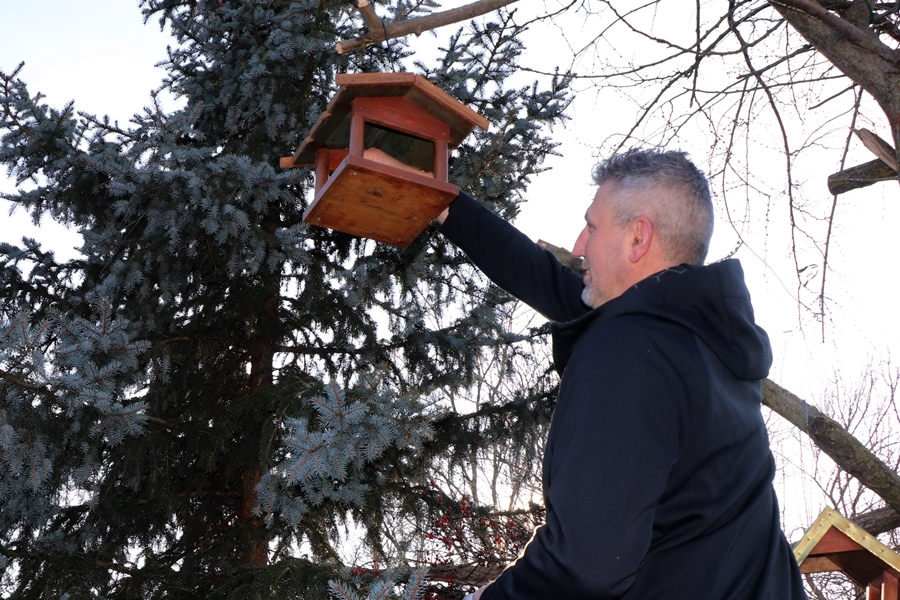 Vincze Laci madárparadicsoma (galéria)