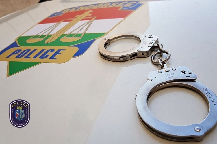 Több milliós kárt okozott a halasi tolvaj