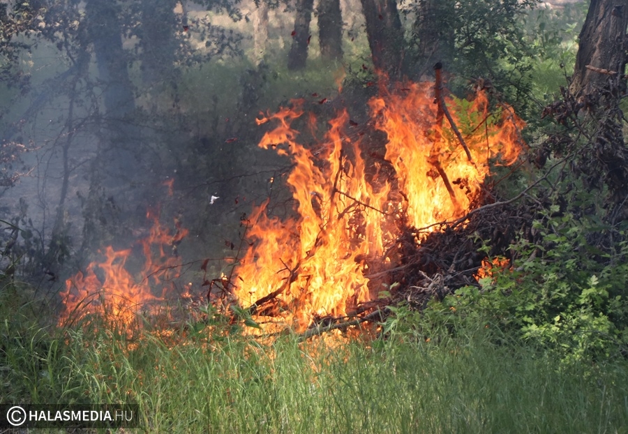Eseménydús napokon vannak túl a halasi tűzoltók