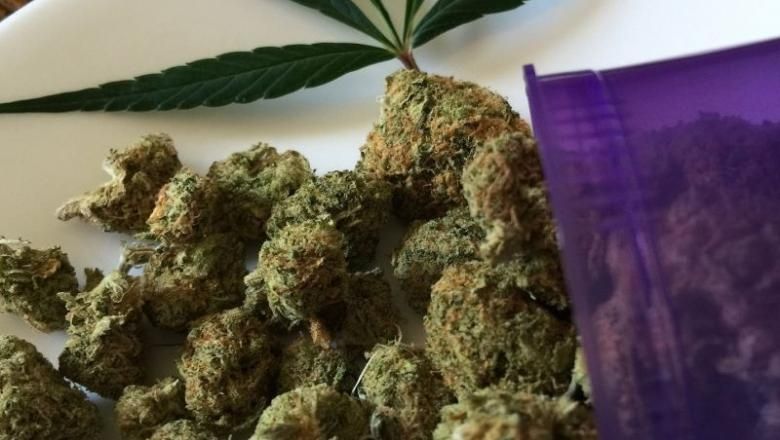 Halason kellett volna elrejtenie a marihuánát: súlyosabb büntetést kaphat a drogcsempész