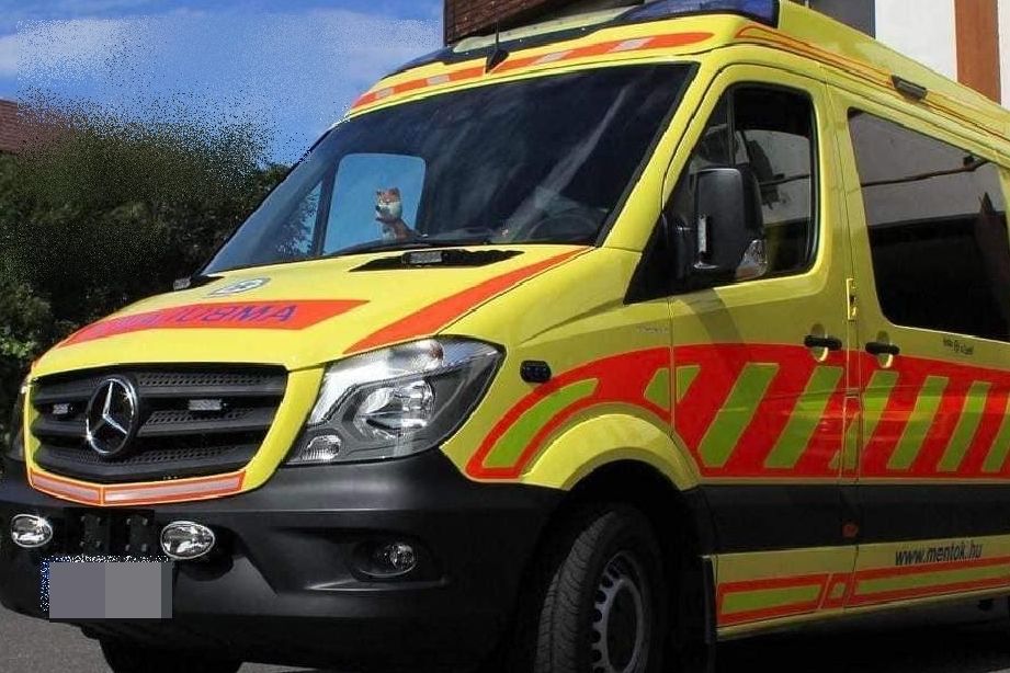 Halálos áramütés Jánoshalmán