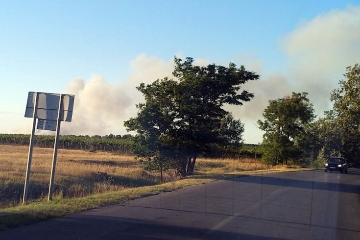 Nyolcvan hektáron égett az erdő, halasi tűzoltók is a helyszínen
