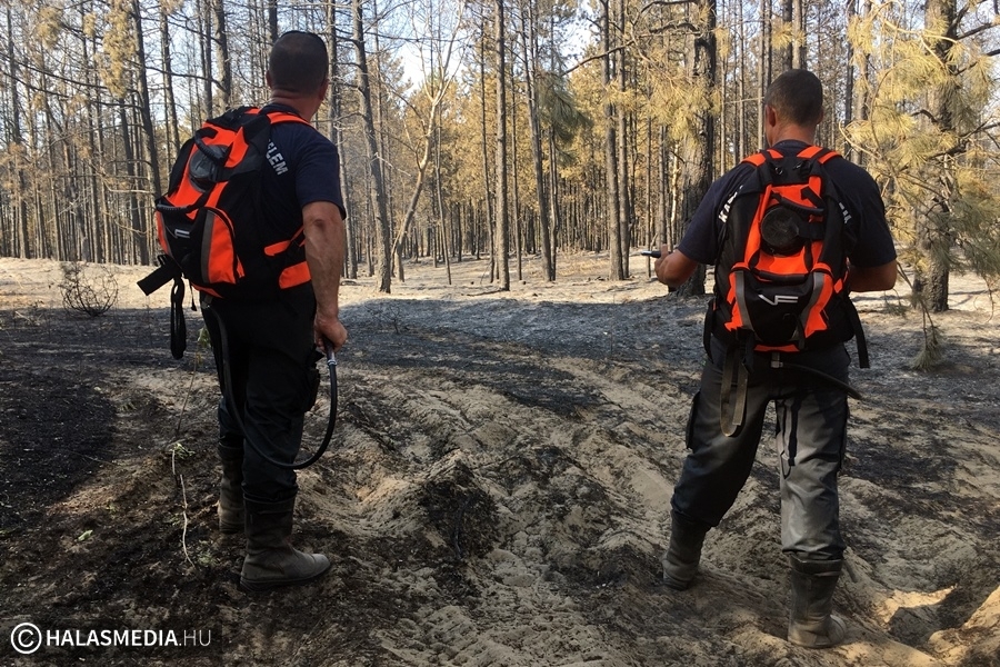 Kiskunhalasi erdőtűz: a kánikulában is több mint hatvan tűzoltó volt a helyszínen