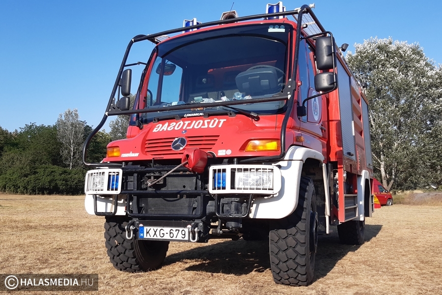 Eloltották a kiskunhalasi erdőtüzet