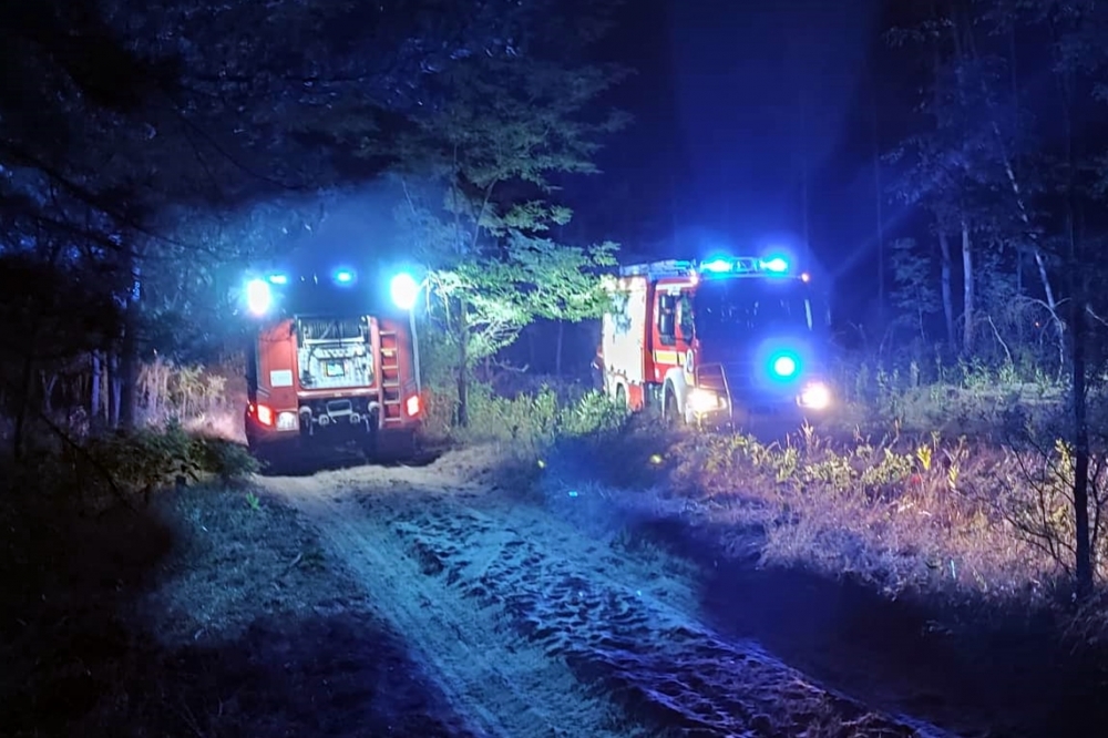 Kigyulladt az erdő aljnövényzete Jánoshalma közelében