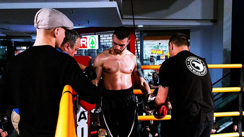 Profi gálát szervez a Halasi Box Club