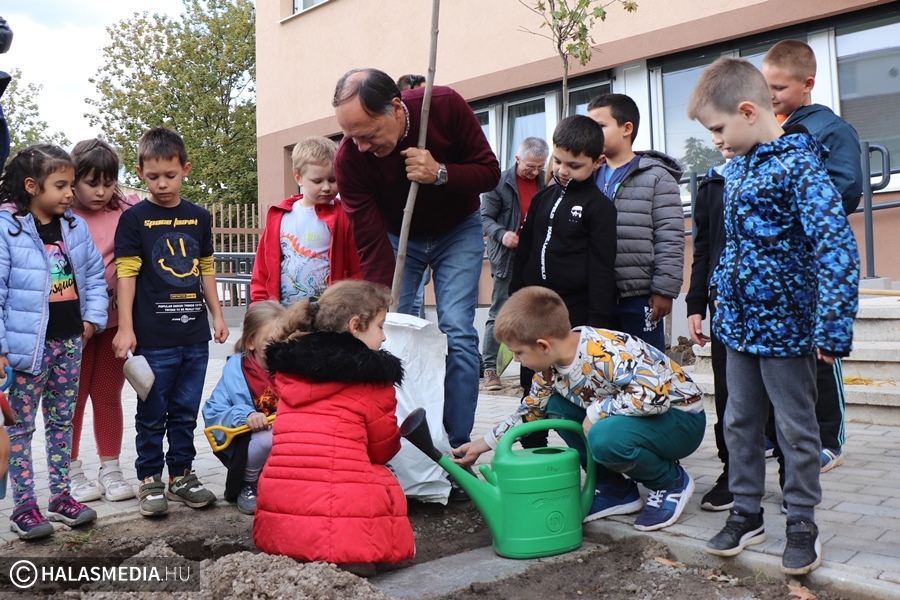 Fákat ültettek a Szent József-iskola elsősei és pedagógusai (galéria)