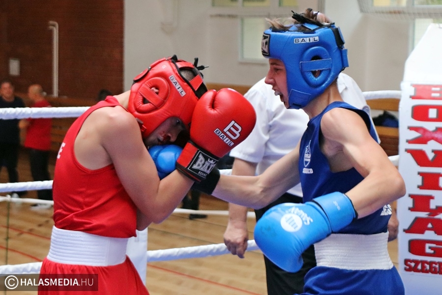 (►)Testvérvárosok Kupája és profi gála: jeles a Halasi Box Clubnak (galéria)