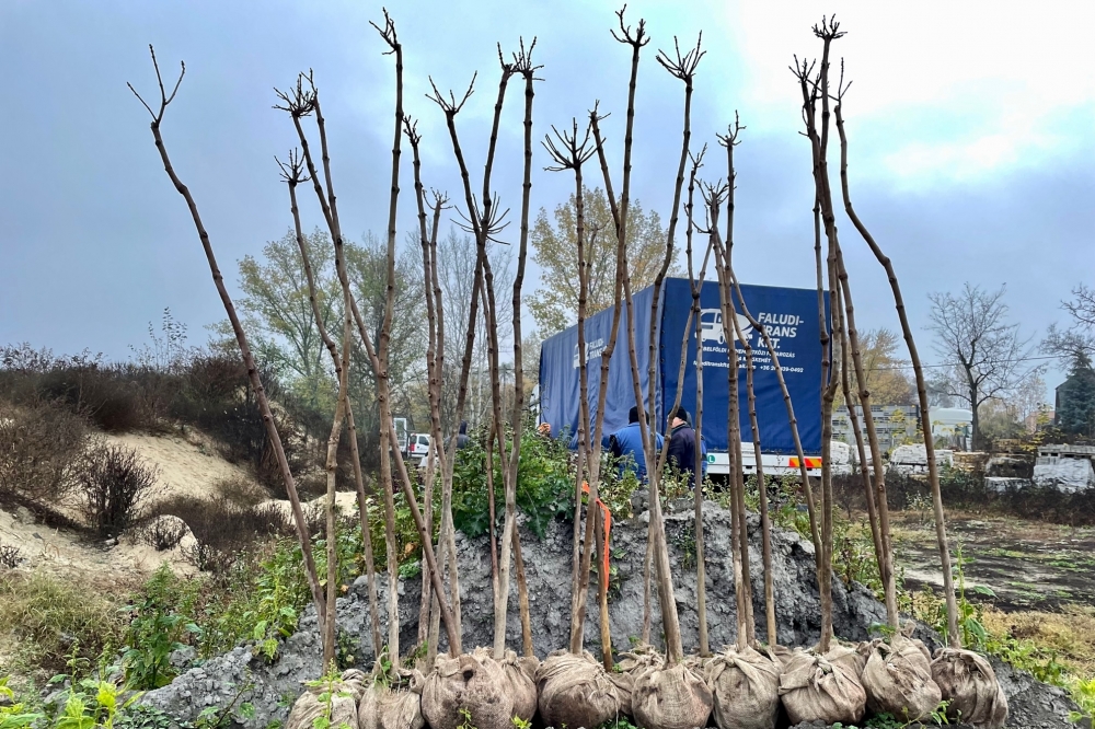 Hetven facsemetével gazdagodnak a halasi közterek