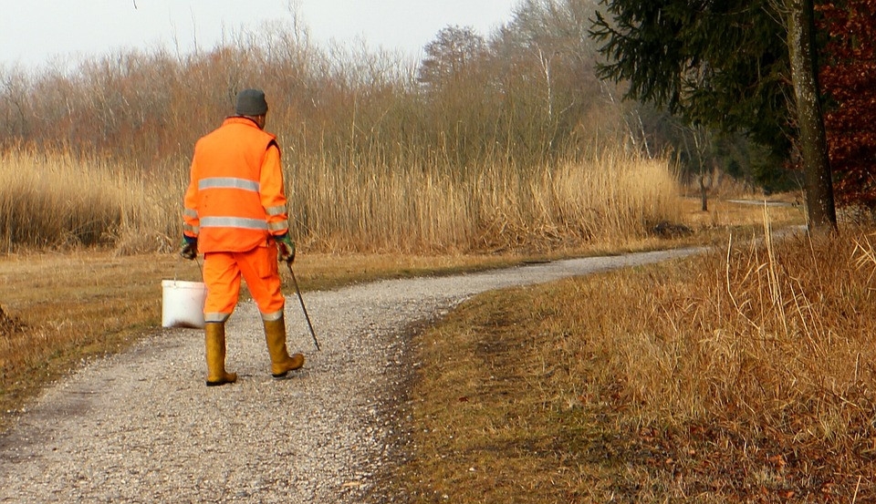  Halas 42 főt foglalkoztatna a startmunka programban