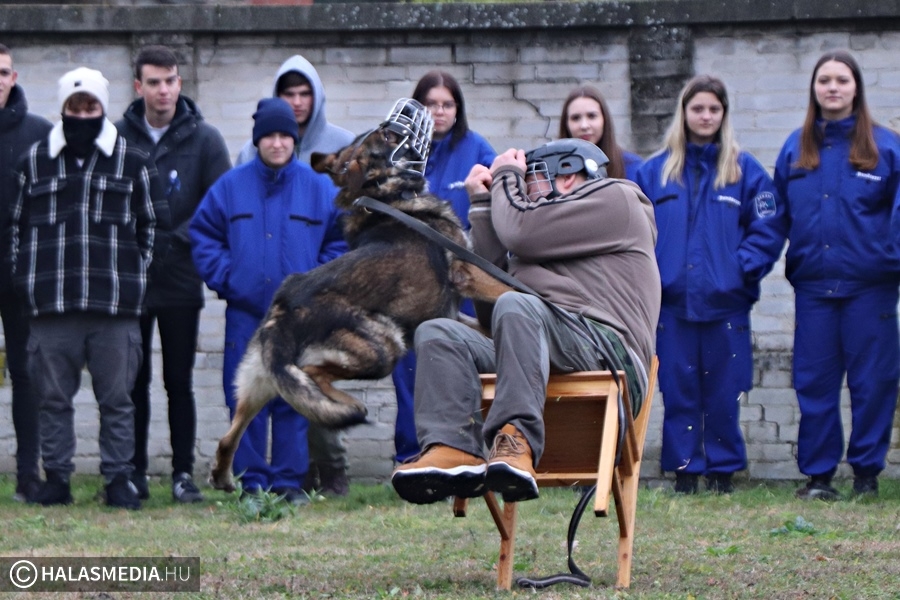 (►) Kutyás bemutató és tömegoszlatás is volt a pályaorientációs napon (galéria)