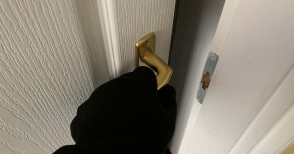 Őrizetben a halasi férfi, aki tujákat, virágokat és mindent is lopott