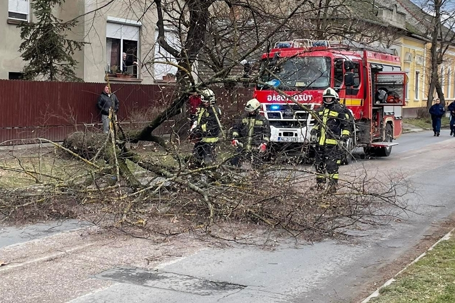 Viharkárokhoz riasztották a halasi tűzoltókat