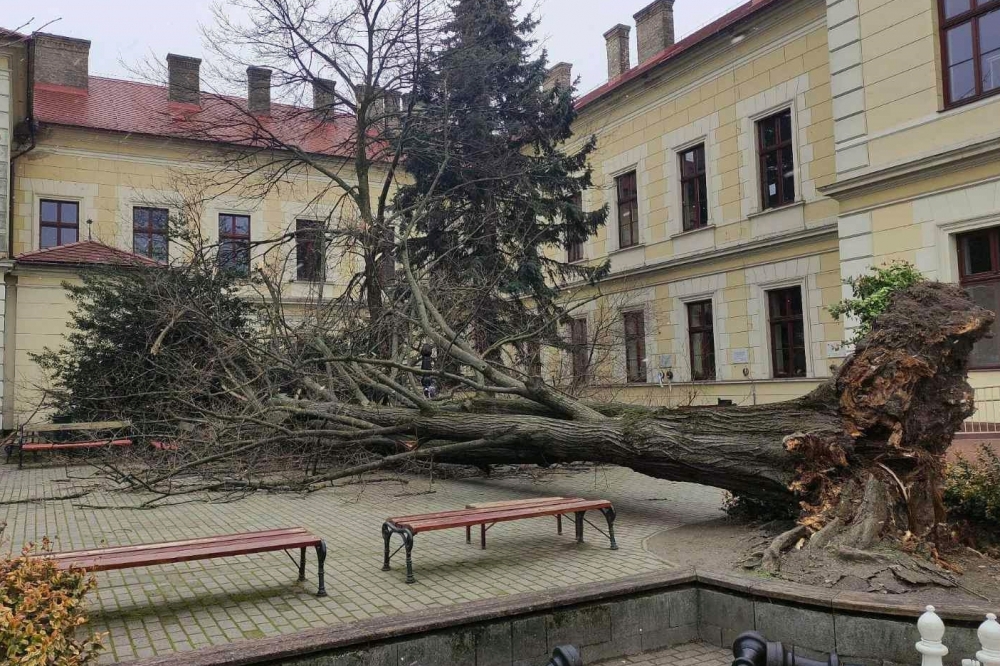 Újabb viharkárok: kidőlt fa a Szilády udvarán, letépett bádogtető-darab a templomnál