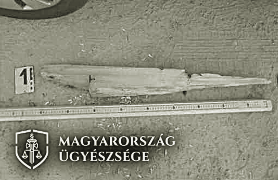 Elítélték a majsai férfit, aki fahusánggal támadt a tűzoltókra