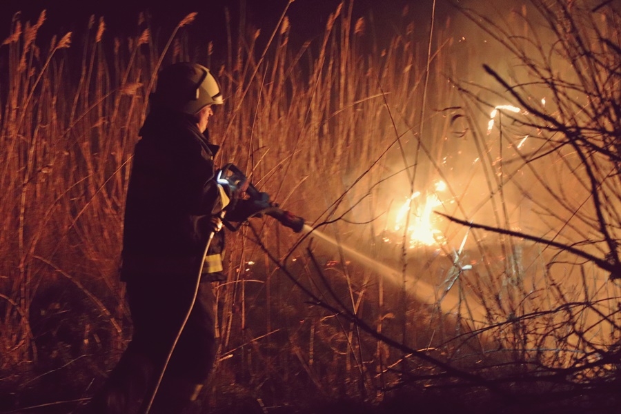 Megint tűz volt a Sóstónál 