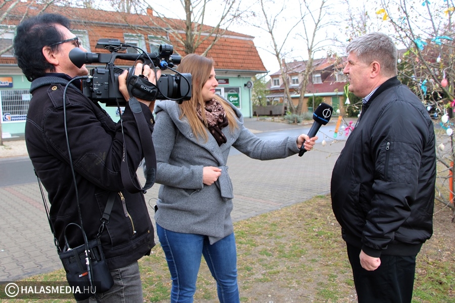 Országos figyelmet kapott a halasi tojásfa szépségverseny (galéria)