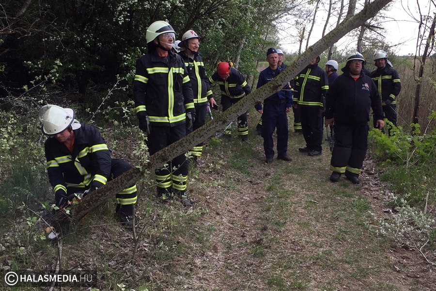 Gyakorlatoztak a Tüzes Kunok (galéria)