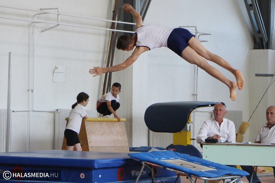 Ez Petinek is nagyon tetszett volna...(galéria)