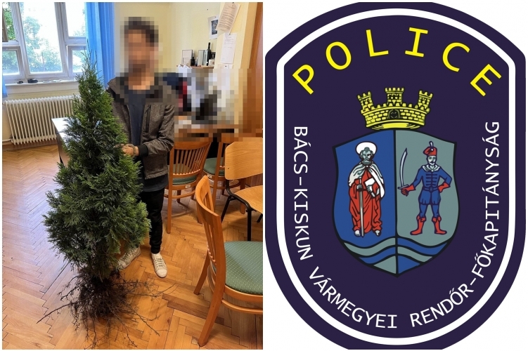 Elkapták a tujatolvajokat