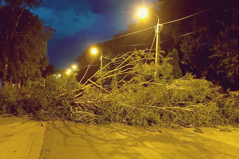 Viharkárok: közel tíz bejelentést kaptak a halasi tűzoltók