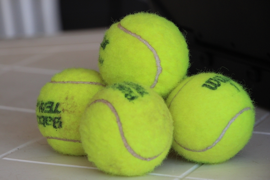 Halasi Tenisz Club: következik a rájátszás