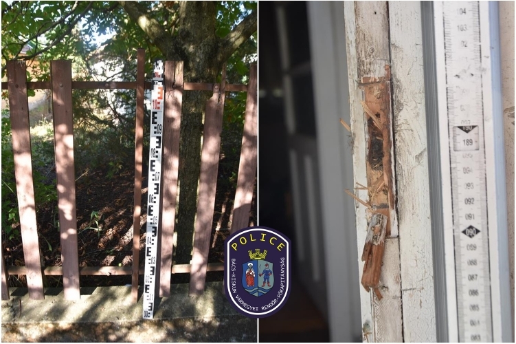 A halasi csirkefogók, akik nem hagyták abba...