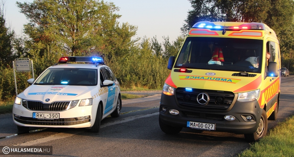Lesodródott az útról, fák közé szorult egy autó a jánoshalmi úton