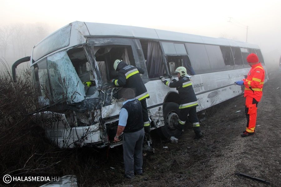 (► )Tömegbaleset az 53-as főúton Kiskunhalas közelében (galéria)