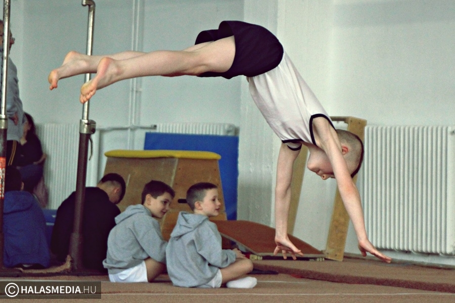 Halasi tornasikerek a diákolimpia országos elődöntőjében (galéria)