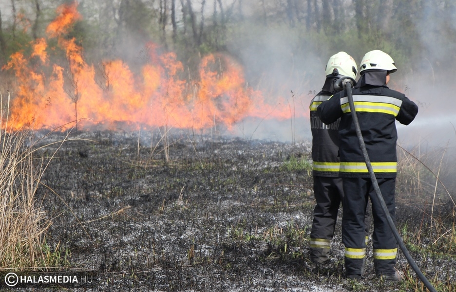 (►) Toborzót tartanak a halasi tűzoltók