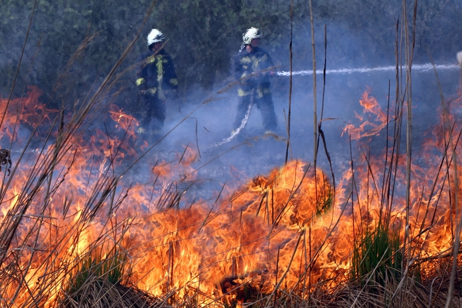 Újabb nádastűz Sóstón (galéria)