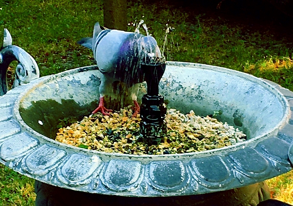 Dőlnek a hőmérsékleti csúcsok, és még nincs vége...