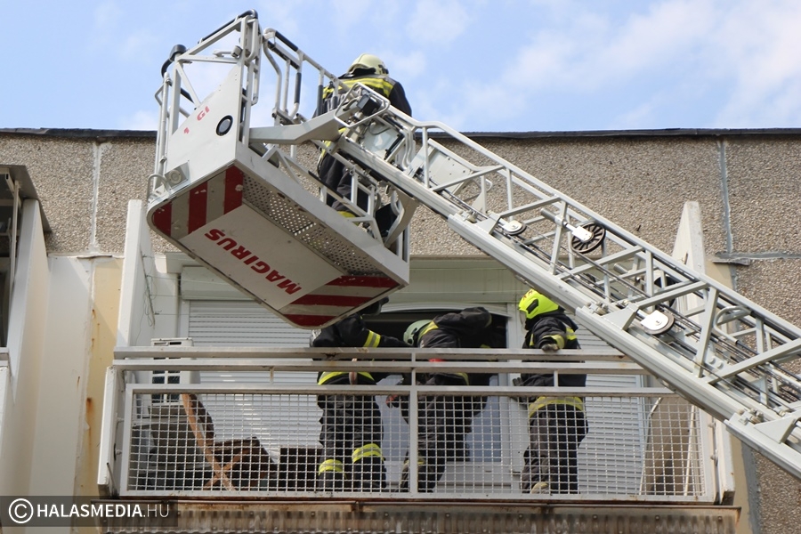 Mentők és tűzoltók a Bem utcában (galéria)