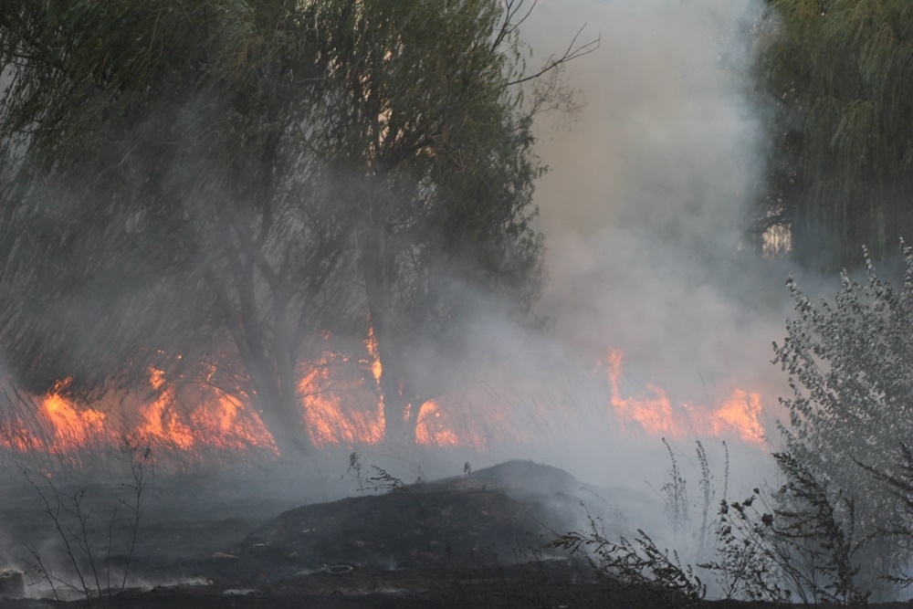 Kábelégetésből 3 ezer négyzetméteres tűz: vádemelés a gyújtogató ellen
