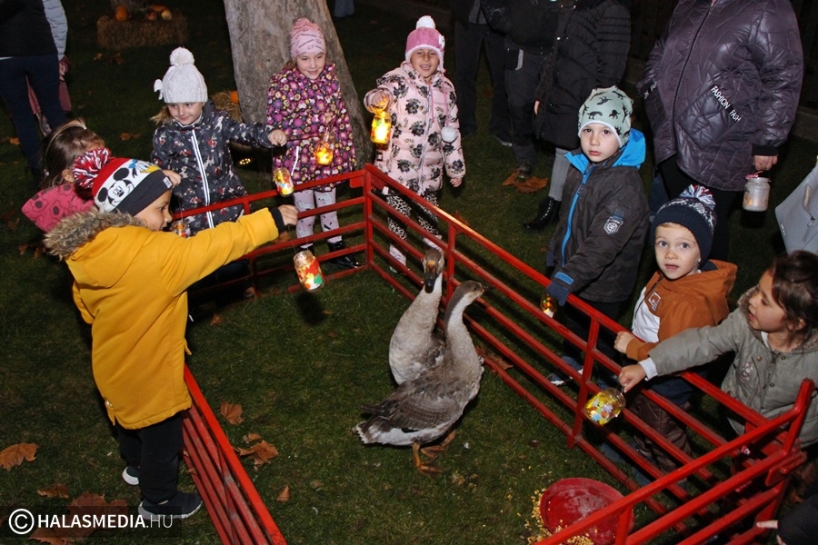 (►) Márton-napi mulatság a Kertvárosi oviban (galéria)