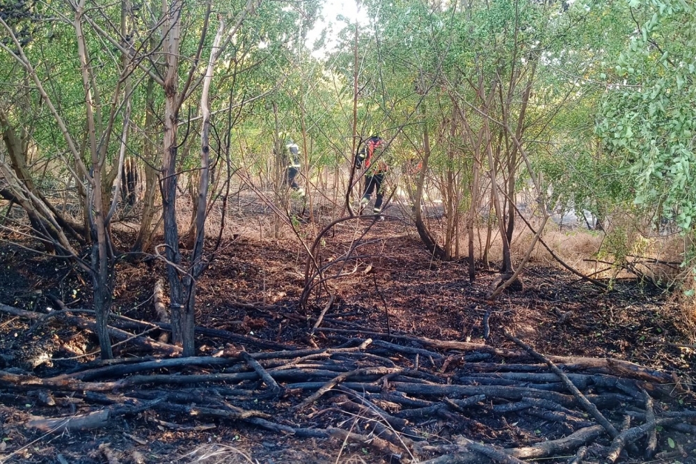Negyvennégy hektáron égett a lábon álló gabona, a tarló, és az akácerdő