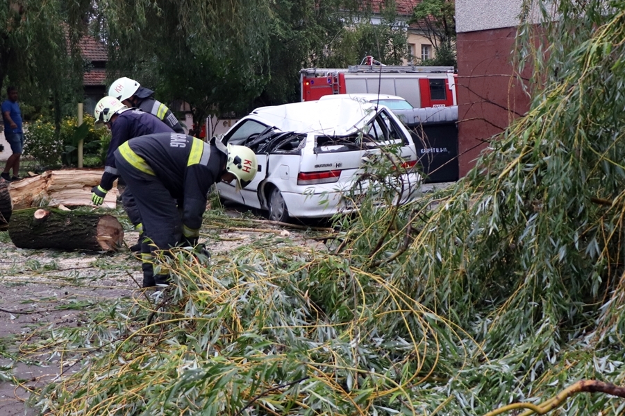 Ki kell vágatni a kiszáradt fákat, bokrokat, mert komoly veszélyforrást jelentenek!