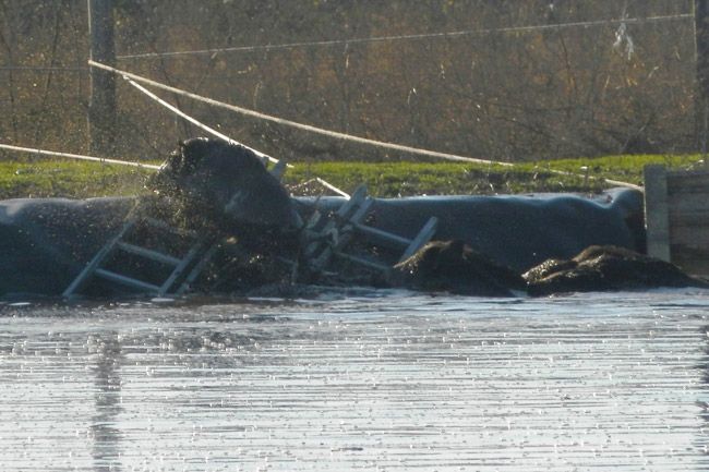 Nem mindennapi bevetés volt