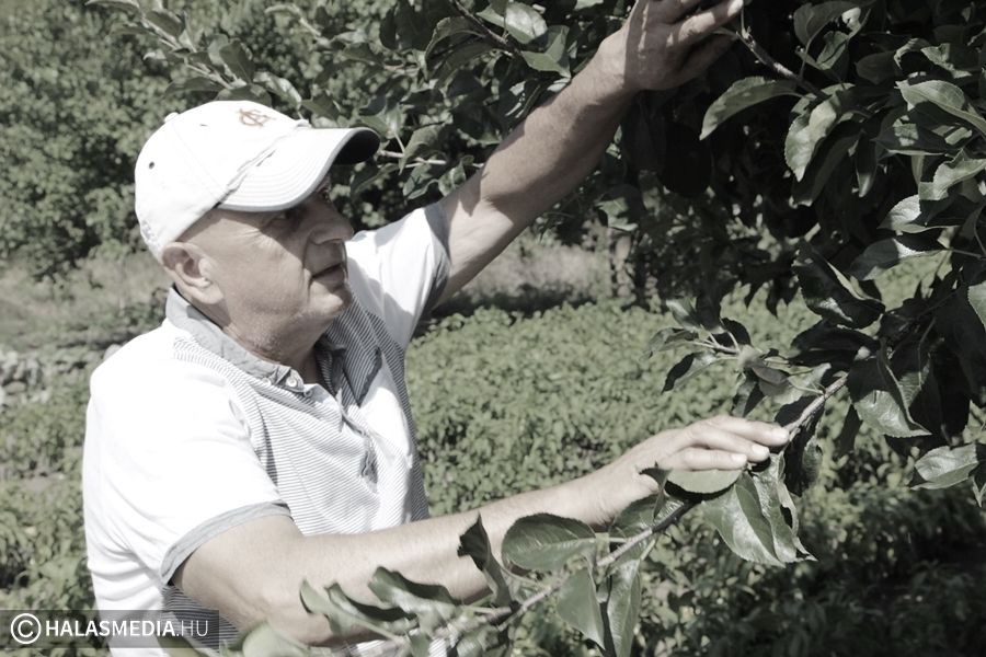 Elhunyt Csanádi Lajos