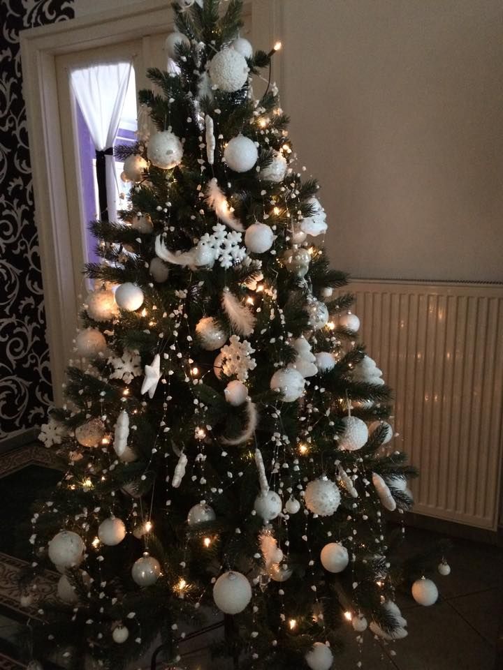 Ön szavazott már kedvenc fájára?