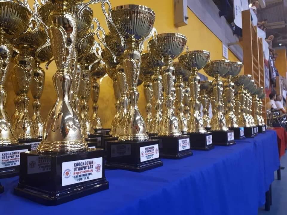 Magyar bajnoki érmeket nyertek 