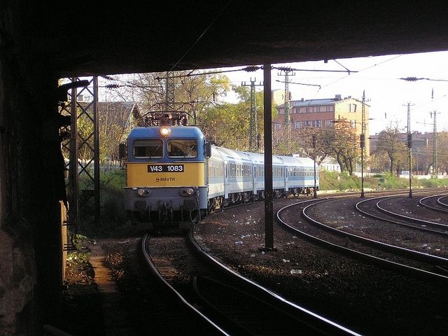 Százlábú és a halasi vonat