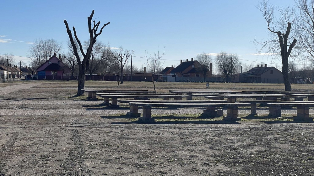 Vasárnap vásár lesz állatbeviteli korlátozással