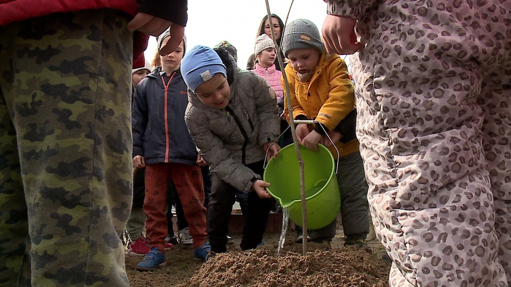 (►) Árnyékot adnak majd - Faültetés a Lomb utcai óvodában 