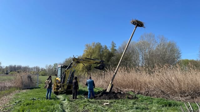 (►) Jöhetnek a gólyák, fészek várja őket a Csetényi Élményparkban