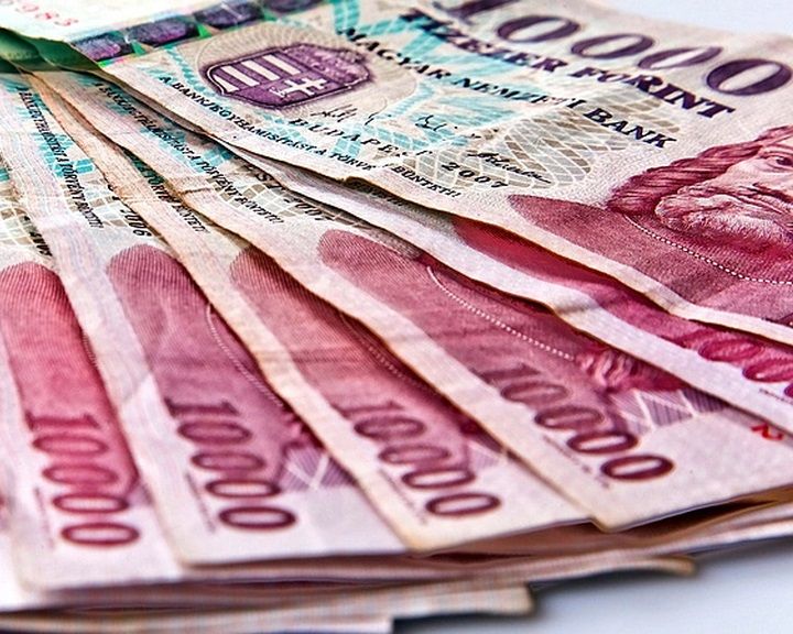 500 milliós pályázati siker