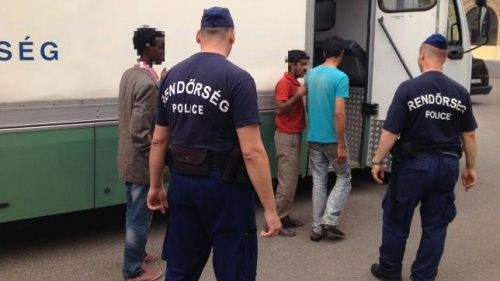 Egy nap, 344 határsértő